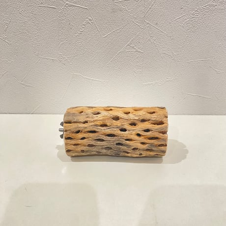 カクタスパーチ② 直径約5.5cm/長さ11cm