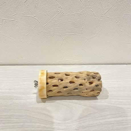 カクタスパーチ⑭ 中直径約5.5cm/13.5cm