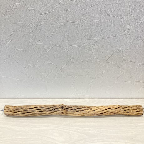 ケージサイズカクタスパーチ② 極小サイズ直径2~3cm HOEI465サイズ