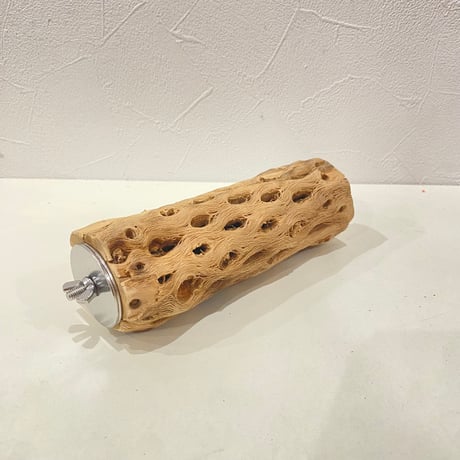 カクタスパーチ② 直径約5cm/長さ15cm