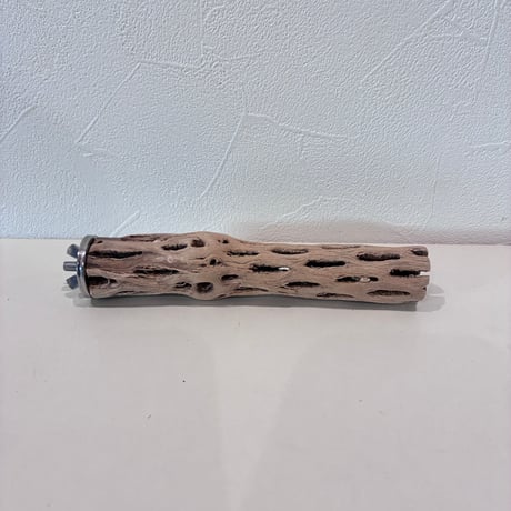 カクタスパーチ | STORES