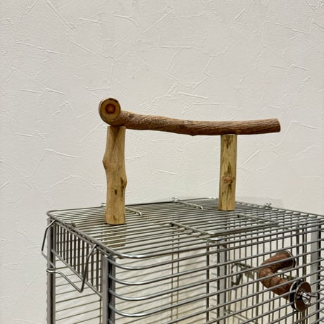 使い方いろいろ 屋上ツタパーチ【3】  横25cm 高さ10cm
