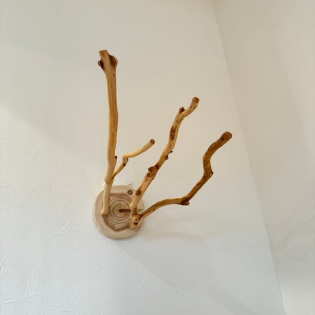 ピノキオの鼻 ① お鼻2本