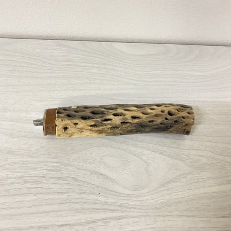 カクタスパーチ⑤ 極小サイズ 直径（約2-3cm）長さ/15cm