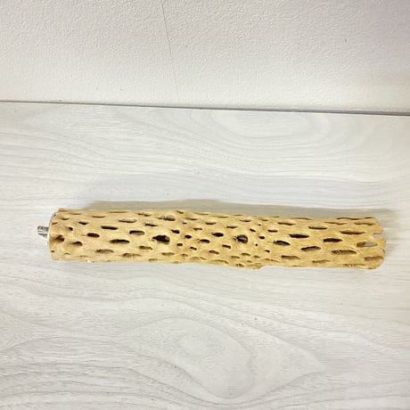 ハートフルサイズ カクタスパーチ① 小 直径3-4cm／長さ22cm