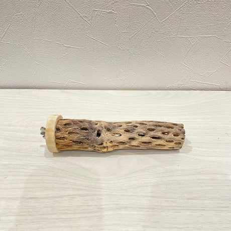 カクタスパーチ小直径3~4cm 長さ15cm ②