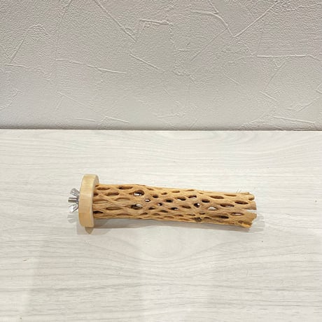 カクタスパーチ極小2-3㎝長さ14㎝ ②
