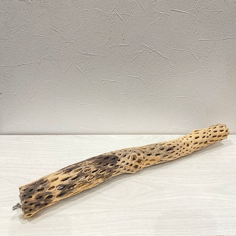 ケージサイズカクタスパーチ 小サイズ直径3-4cm HOEI465サイズ