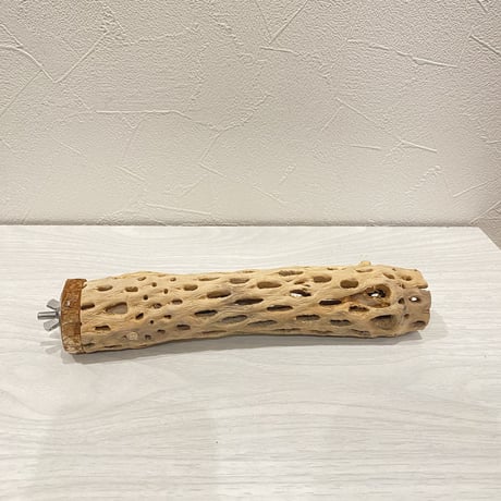 カクタスパーチ②  小 直径約4cm 長さ20cm