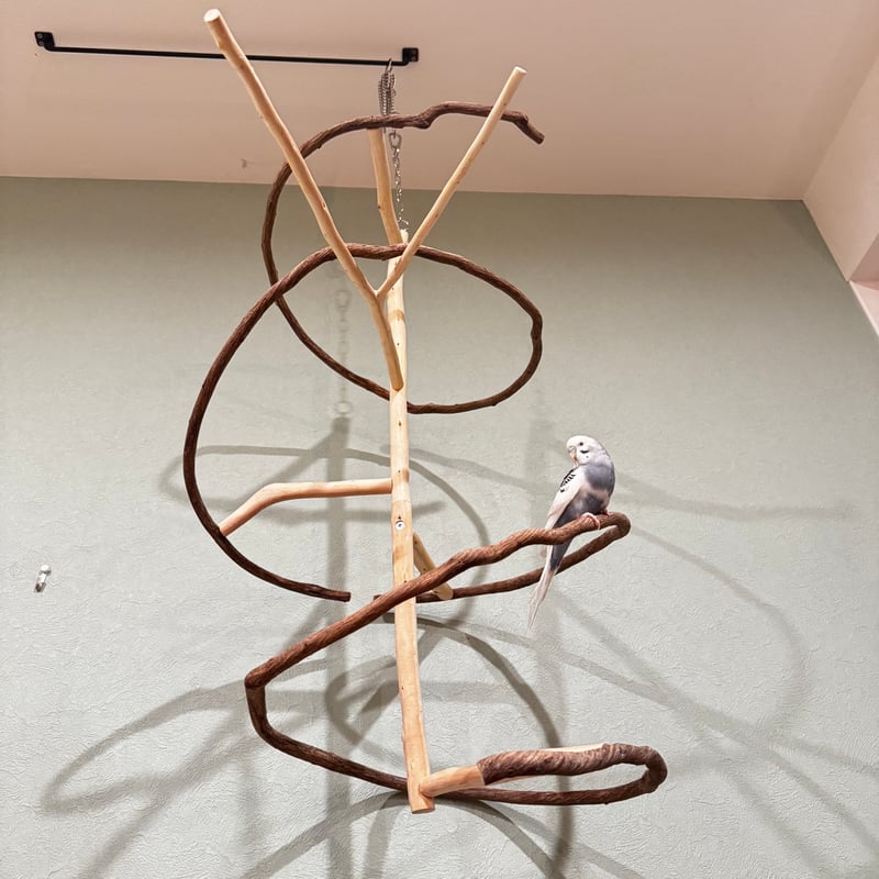 A様専用】コトリのなる木【バードアスレチック インコ天然木 自然木