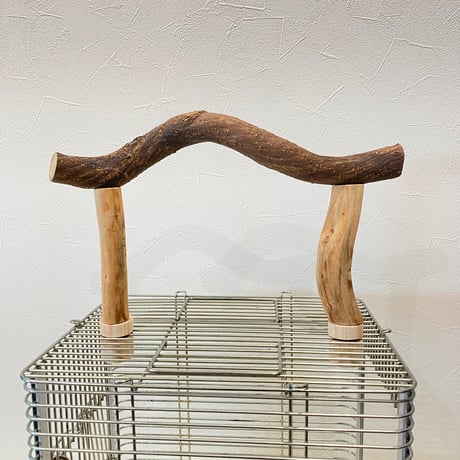 使い方いろいろ 屋上ツタパーチ　横30cm 高さ16~20cm