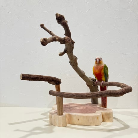 ツタとトウカエデのスタンドパーチ【インコのおもちゃ・ブランコ・自然木のとまり木】バードアスレチック
