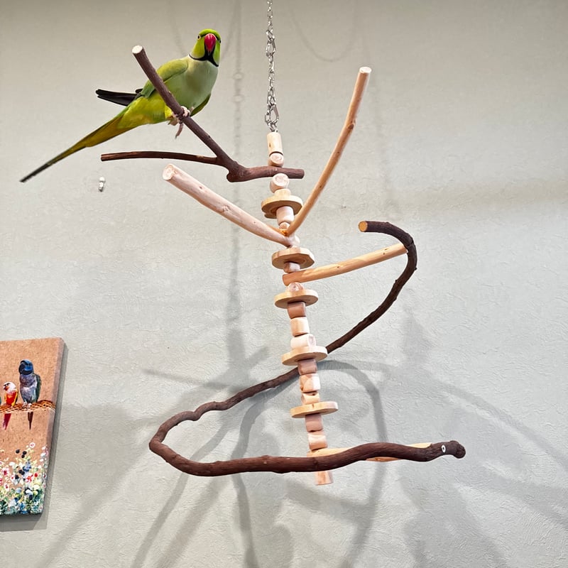 コトリのなる木カスタム つり下げゆらゆらバードアスレチック【インコ