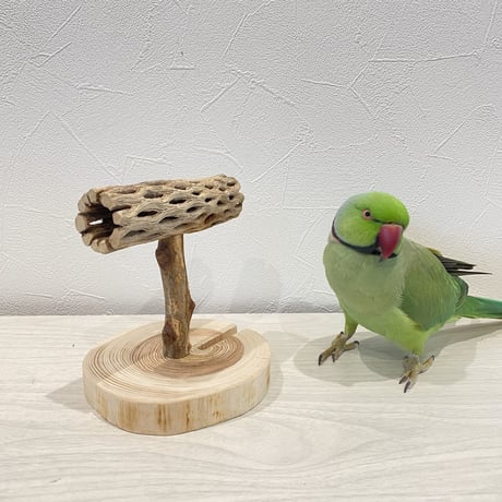 カクタスのスタンドパーチ①　パーチ長さ11.5cm／高さ14cm
