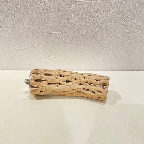 カクタスパーチ(E) 直径約4.5cm/長さ14cm