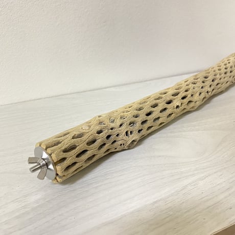 ケージサイズカクタスパーチ⑦ 小サイズ直径3-4cm HOEI465サイズ