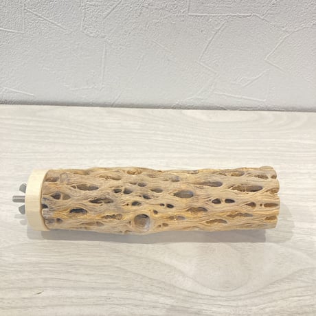 カクタスパーチ⑧  小　直径4cm前後 長さ15cm