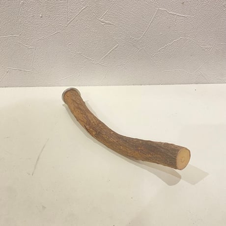 自然木（ツタ）パーチ 直径約2.3cm/長さ20cm