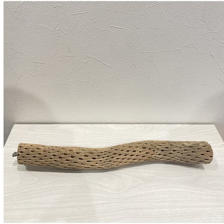 ケージサイズカクタスパーチ 中直径約5.5cm HOEI465