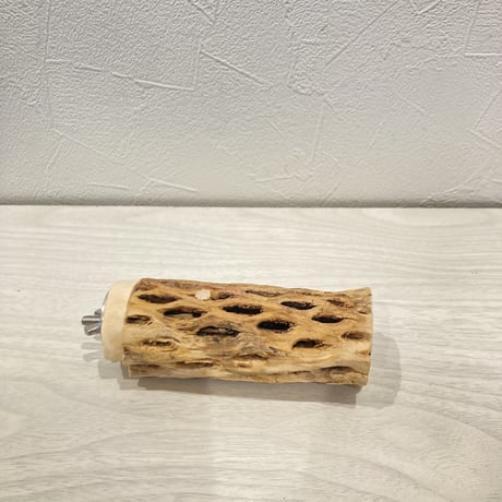 カクタスパーチ小④ 直径約3~4cm 長さ10cm