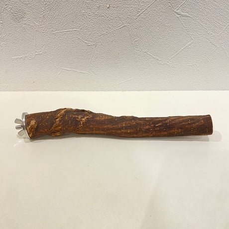 自然木（ツタ）パーチ 直径約2~2.5cm/長さ20cm