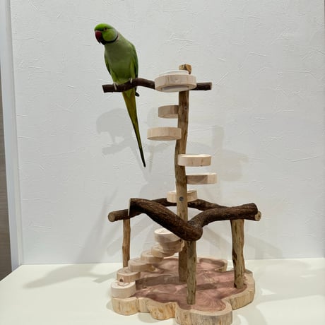 螺旋階段とツタのバードアスレチック【インコのおもちゃ・自然木のとまり木】
