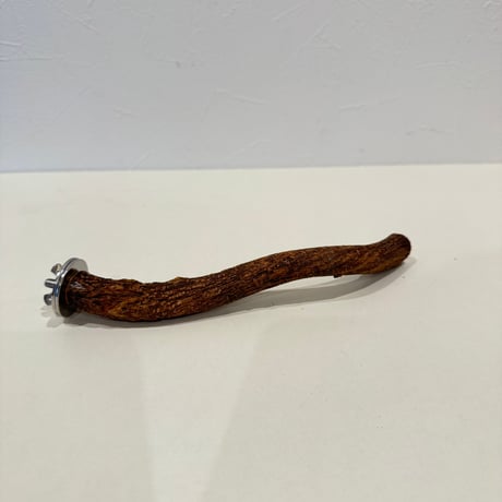 自然木（ツタ）パーチ 直径約1.8cm/長さ19cm