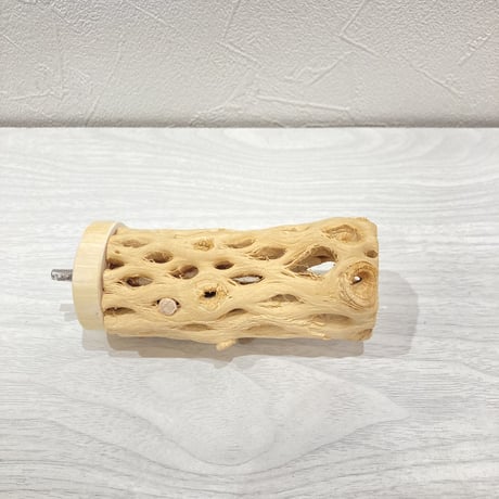 カクタスパーチ【2】中　直径約5cm 長さ10cm