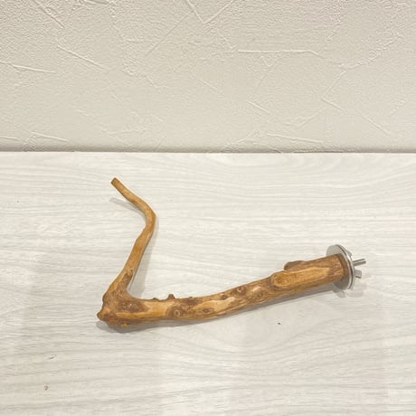 自然木（カイヅカイブキ）のパーチ②　直径0.7～1.5cm／長さ16cm