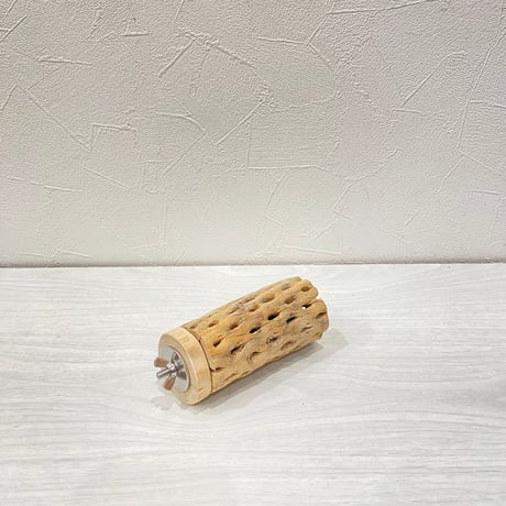 カクタスパーチ⑮中4.5~5.5cm長さ10㎝