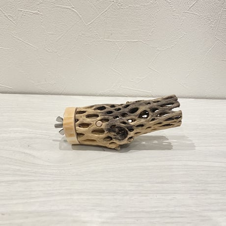 カクタスパーチ【7】 小直径3.5cm/10cm