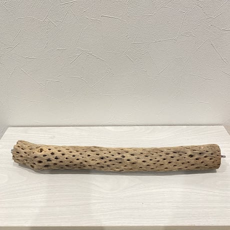 ケージサイズカクタスパーチ①  中直径約5.5cm HOEI465