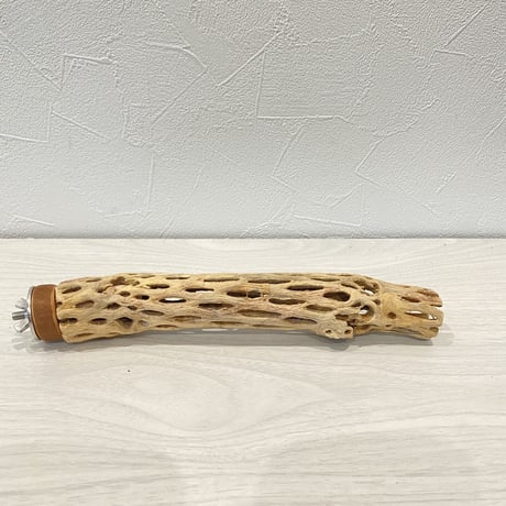 カクタスパーチ②  極小 直径約3cm/21cm