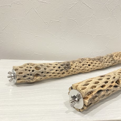 【cieloeterra.jp様専用】ケージサイズカクタスパーチ 小HOEI465サイズ