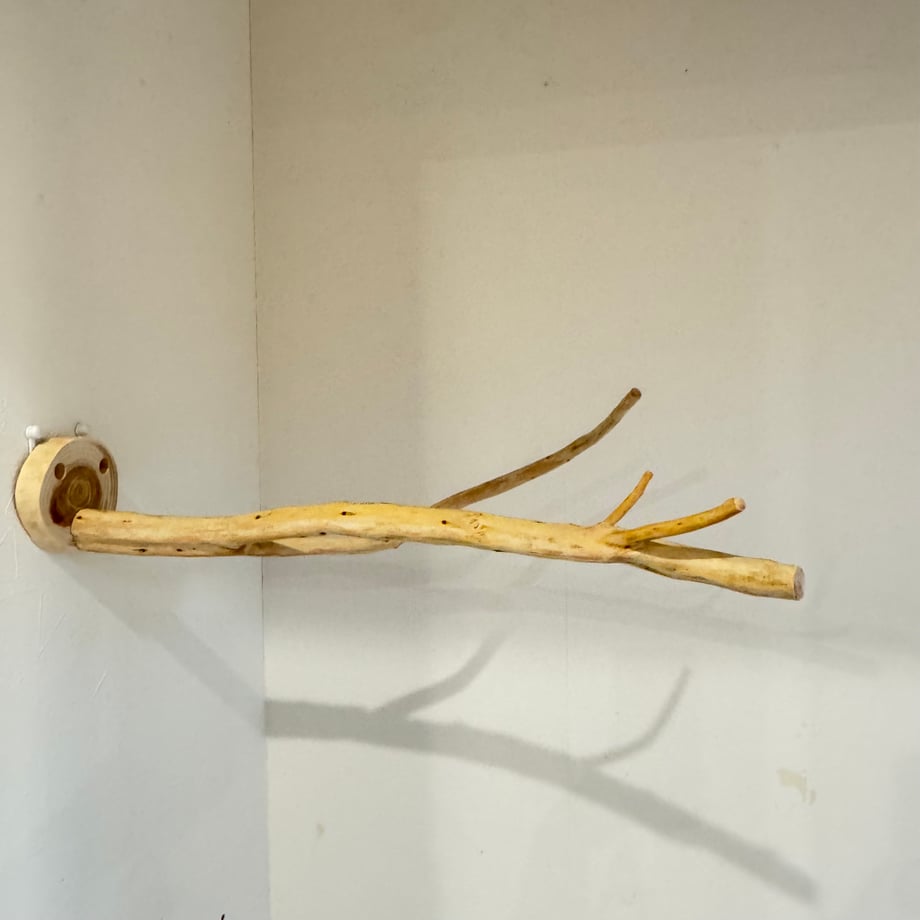 69f69301935325c05df43e86