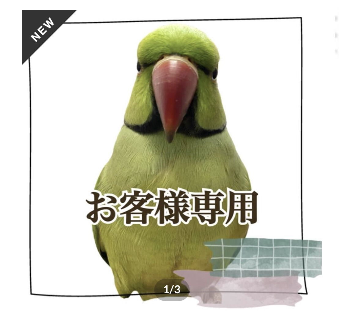 tokotoko　止まり木　カクタス　パーチ　中太No.134,135 toriningen3様】HOEI465用カクタスパーチ 直径約4.5cm/長さ44cm |