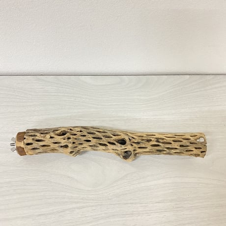 カクタスパーチ④ 極小サイズ 直径（約2-3cm）長さ/26cm
