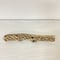 カクタスパーチ④ 極小サイズ 直径(約2-3cm)長さ/26cm