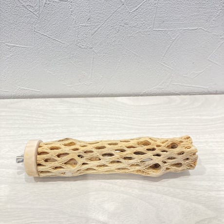 カクタスパーチ極小⑨ 直径約2~3cm 長さ15cm