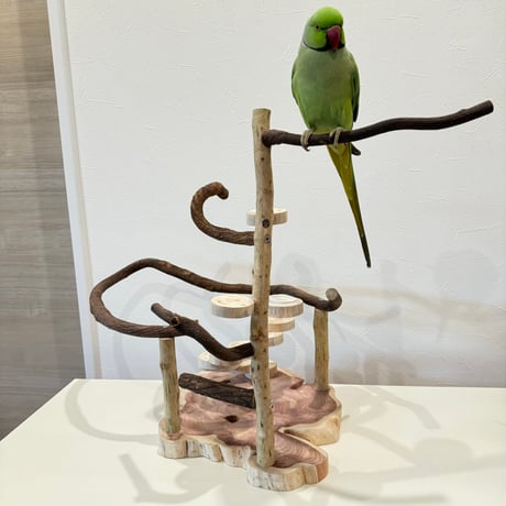 螺旋階段とツタのバードアスレチック【インコのおもちゃ・自然木のとまり木】