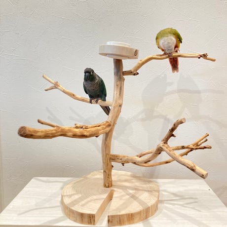 カイヅカのツリーバードアスレチック【インコのおもちゃ・自然木のとまり木】