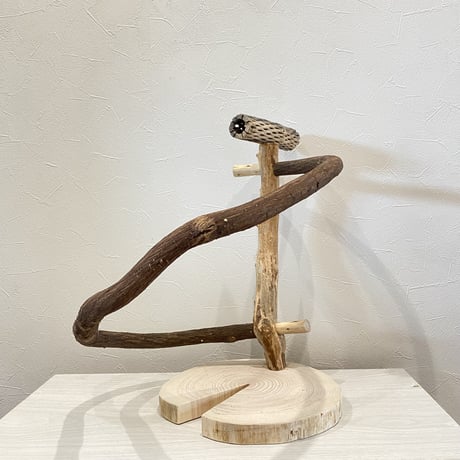 ツタのぐるりんスタンドパーチ④