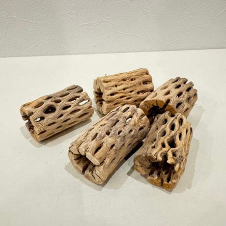 カクタスパーチ　手作り　ハンドメイド オーダー作成】ケージサイズでカクタスパーチ（サボテンの骨）鳥