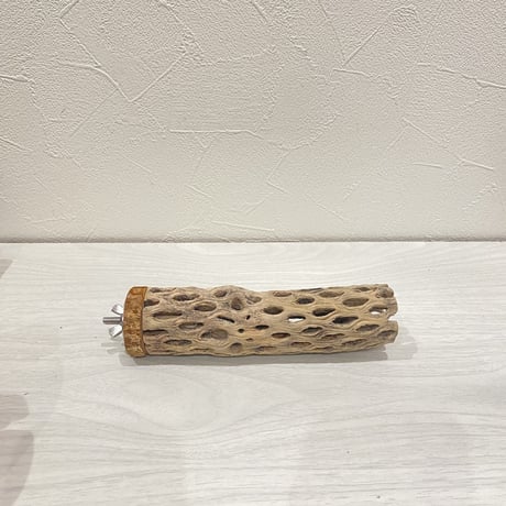 カクタスパーチ⑨  小 直径約4cm 長さ15cm