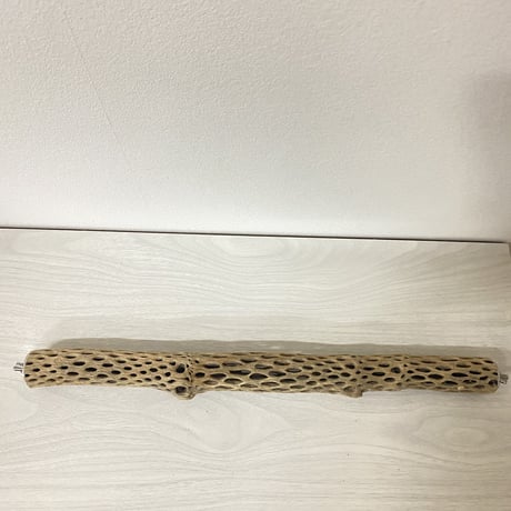 ケージサイズカクタスパーチ 極小サイズ直径2-3cm HOEI465 ④