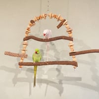 ♡nazu♡　バードアスレチック ♡nazu♡様 専用 バードアスレチック - メルカリ