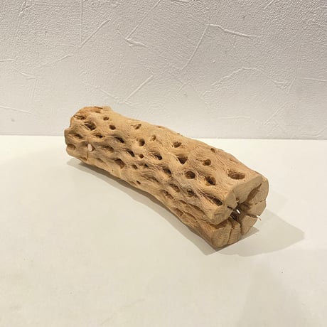 カクタスパーチ⑨ 直径約5~5.5cm/長さ20cm