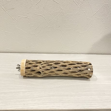 カクタスパーチ【22】 小直径3.5cm/15cm