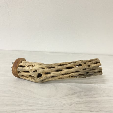 カクタスパーチ 極小サイズ⑤ 直径（約2-3cm）長さ/15cm