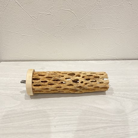 カクタスパーチ⑥  中 直径約5.5cm 長さ15cm